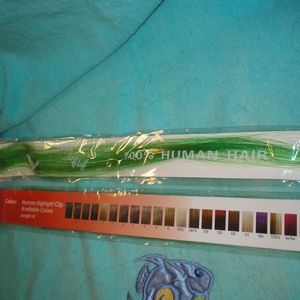 Human Hair Highlight Clips